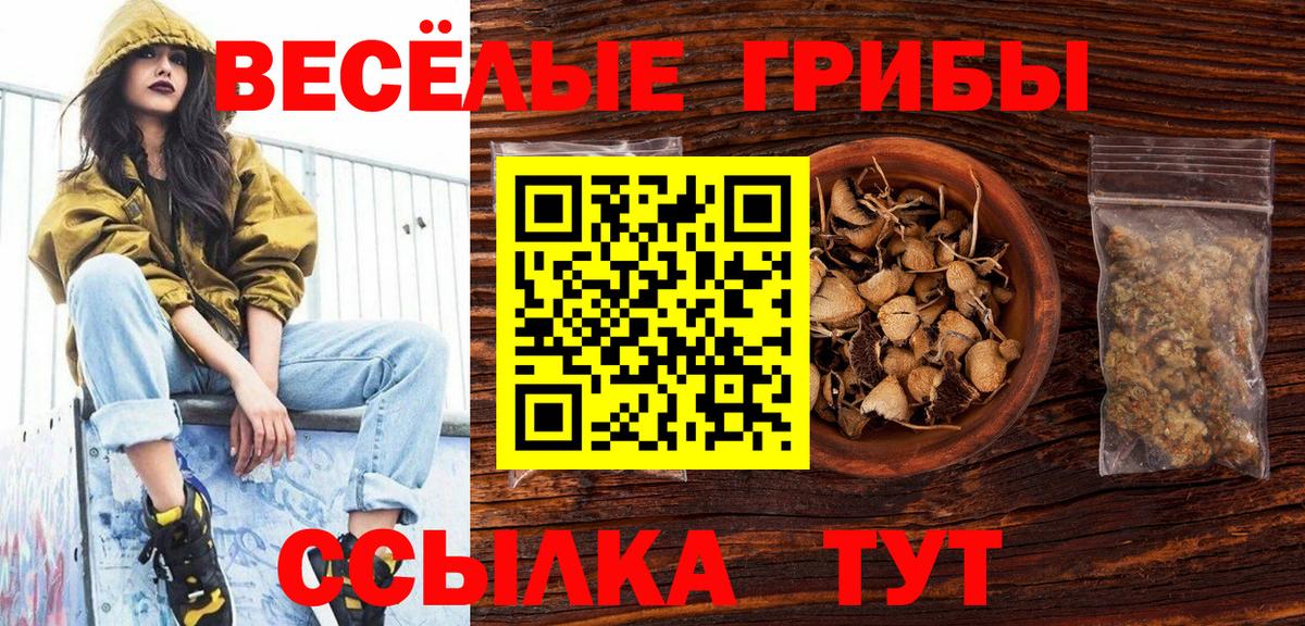 Галлюциногенные грибы MAGIC MUSHROOMS  Галлюциногенные грибы MAGIC MUSHROOMS  Дмитров  Вход с VPN 