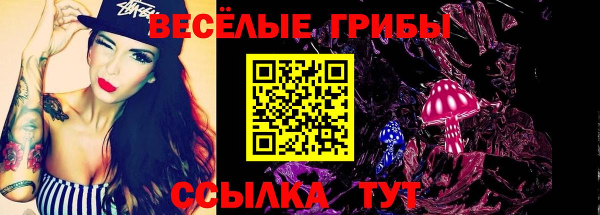 Галлюциногенные грибы GOLDEN TEACHER Дмитров